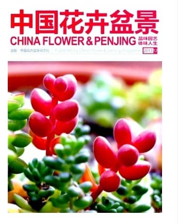 中国花卉盆景