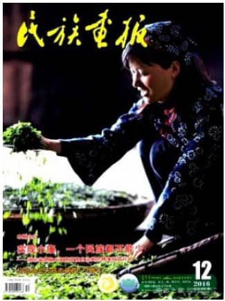 民族画报