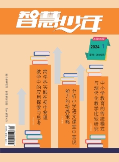 智慧少年